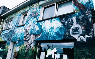 Dieren in graffiti op voorgevel dierenarts Van de Sijpe