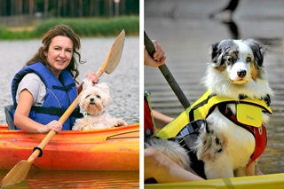 Kayakistes avec chiens sur canoé – Descente de l’Ourthe