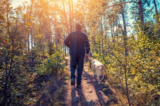 Un chien et son maître (de dos) en randonnée  dans le Parc National de la Haute Campine un jour ensoleillé.