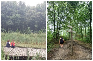 Links: twee meisjes, gezien vanop de rug, zitten op een houten vlonder in natuurdomein Palinkbeek / Rechts: bewegwijzerde wandeling door de natuur in Ieper